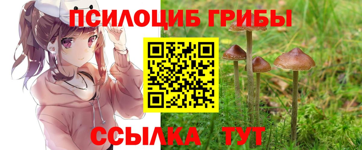 Псилоцибиновые грибы мухоморы  Вход с VPN  как найти закладки  Карпинск  Галлюциногенные грибы прущие грибы 