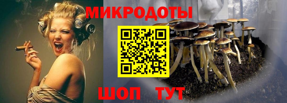Галлюциногенные грибы ЛСД Карпинск